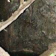Baths of Aphrodite