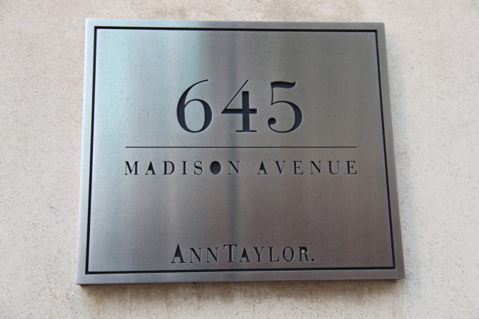 Ann Taylor