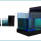 Naida Fish Spa Concepts