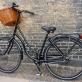 Cycling 8-80 Athalassa Park