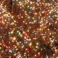 Columbia New Year