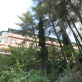 Forest Park Hotel