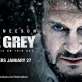 The Grey
