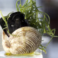 Gastronomy Essentials Training - Creative Greek & Mediterranean Cuisine Seminar