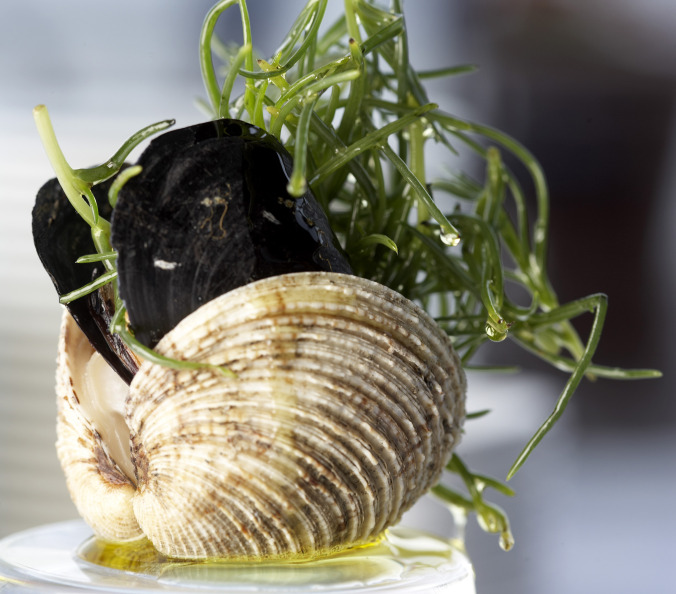 Gastronomy Essentials Training - Creative Greek & Mediterranean Cuisine Seminar