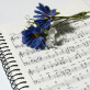 Musical Sundays - Pasinek
