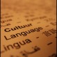 Endangered languages of EasternMediterranean: Current challenges (MedEastern)