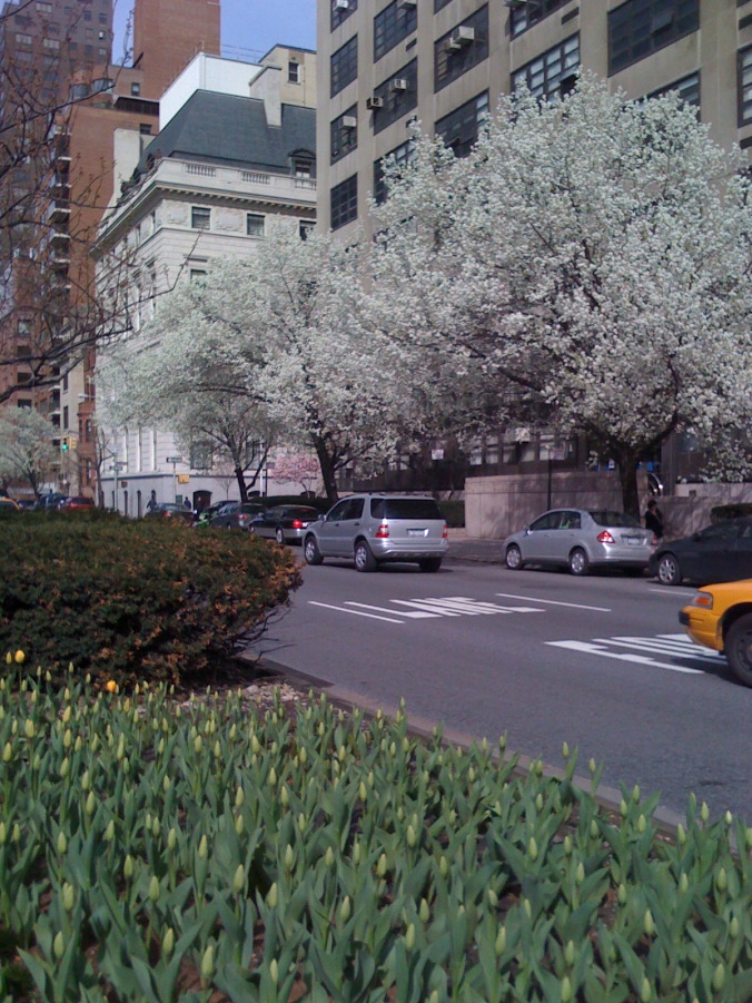 Hunter College