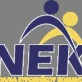European Party Youth (NEK - Neolaia Evropaikou Kommatos)