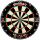 Singles Darts Tournament